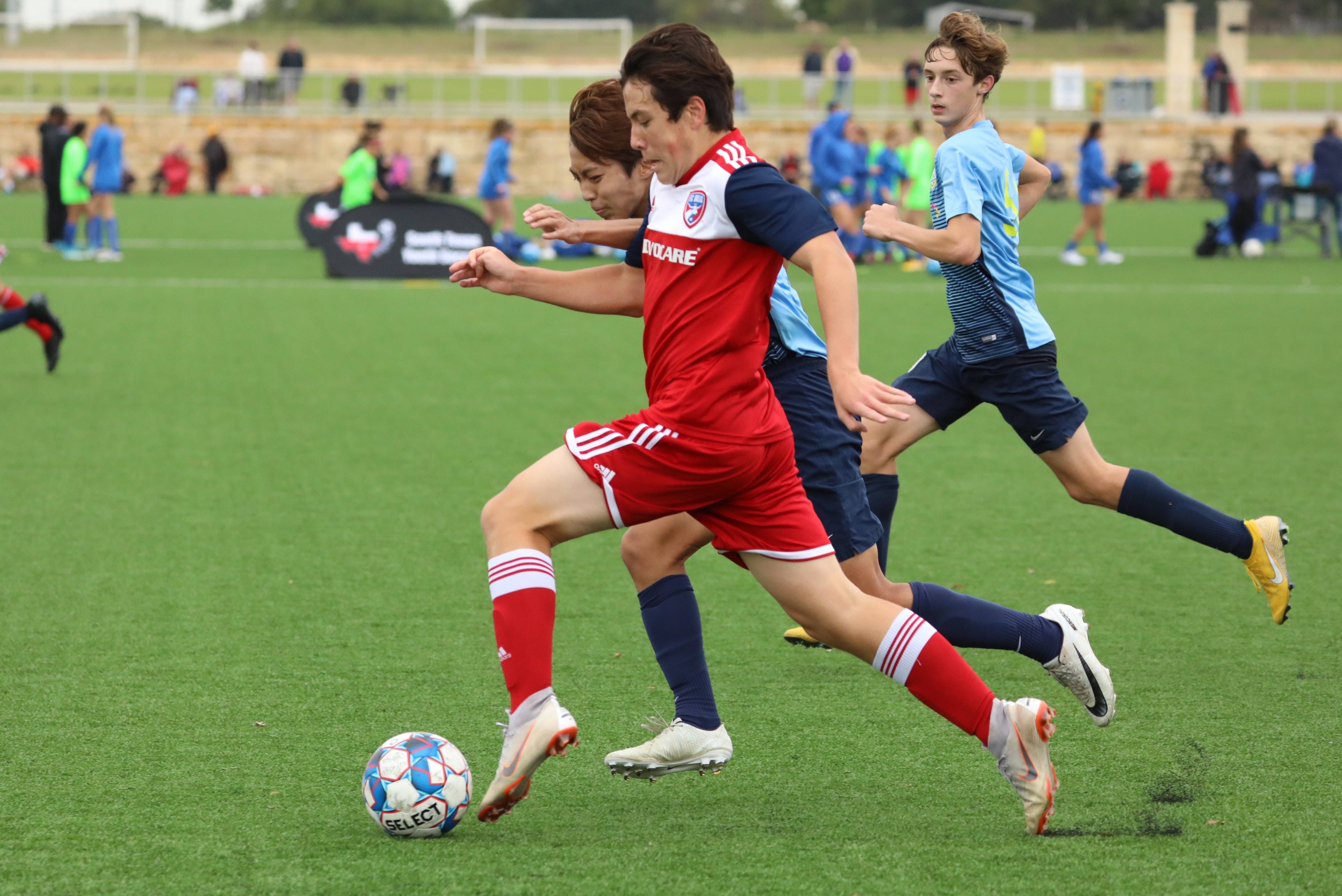 诺不仅是新 诺不仅是新